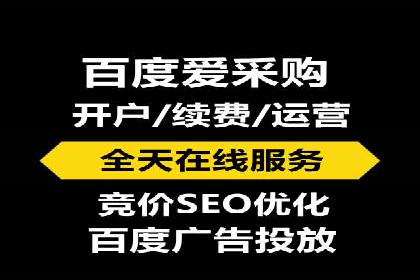 百度竞价托管公司案例分析：打造行业领军企业